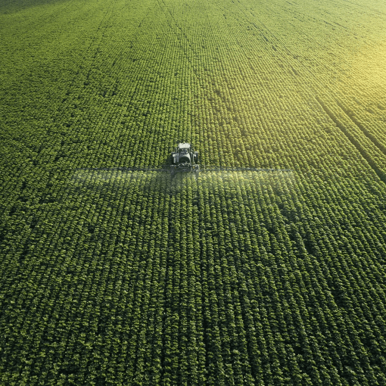 Drone view of a tractor in a vast green field during sunset, spraying crops for agriculture.