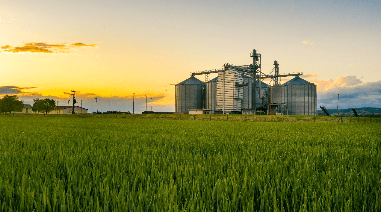 Sunset over a green field with a grain silo and farm buildings, highlighting agriculture and rural landscapes.
